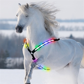  Genopladelig fortøj med lys til heste - 7 lysfarver og blinkende lys